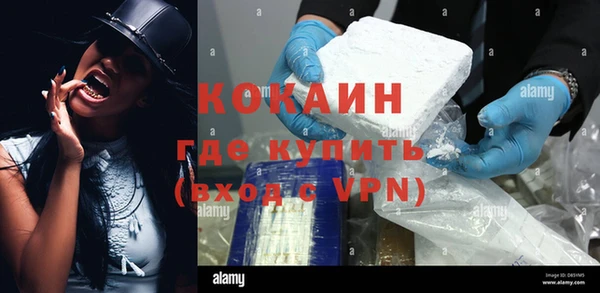 кокс Богородицк