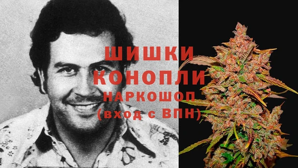 кокс Богородицк