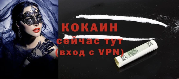 кокс Богородицк