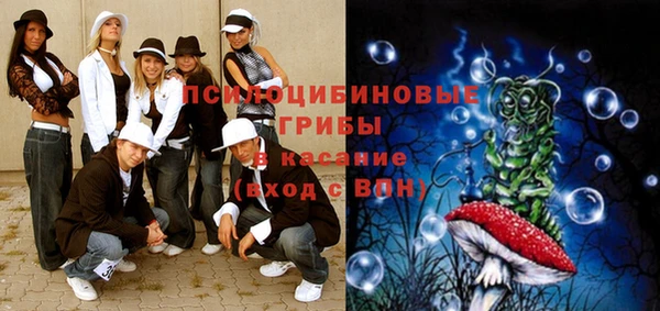 кокс Богородицк