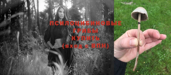 гашишное масло Богородск