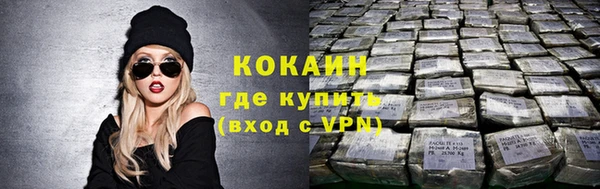 кокс Богородицк