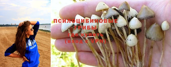 гашишное масло Богородск